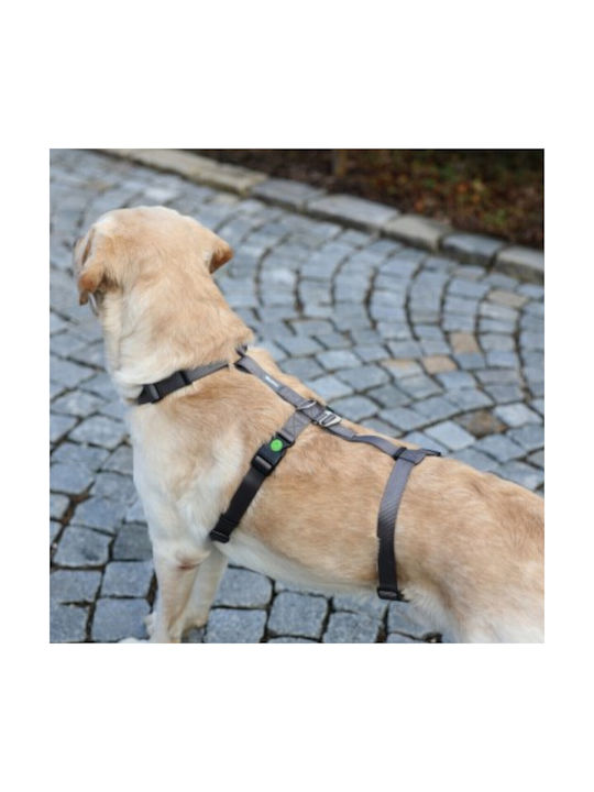 Kerbl Dog Harness Training Panic Harness Miami Gray 25mm x 64-100cm 80044