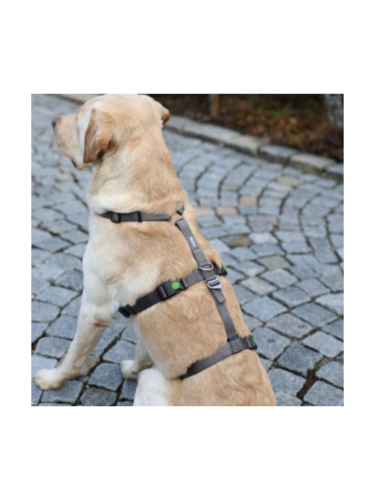 Kerbl Dog Training Harness Panic Harness Miami Gray 15mm x 38-52cm 80040