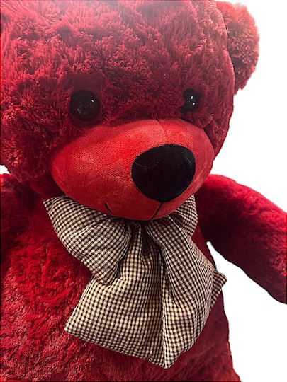 Mohicans Black Line Mohicans Valentine's Day Teddy Bear 100cm 1440-20143nn Red