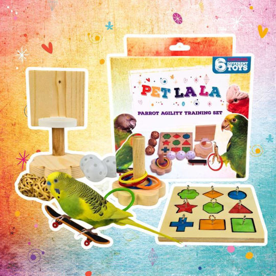 Training Set "Parrot Student" for Small to Medium Parrots