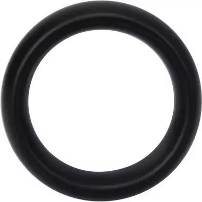 Doc Johnson Large Collar Erection Ring