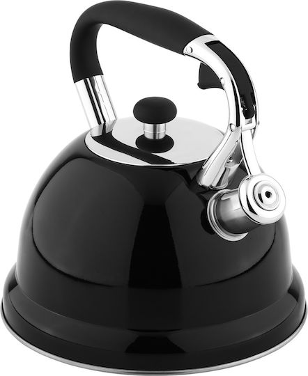 Stainless Steel Teapot 3000ml