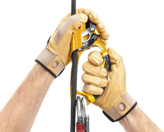 Petzl Ascension Right Climb Brake B17ARN
