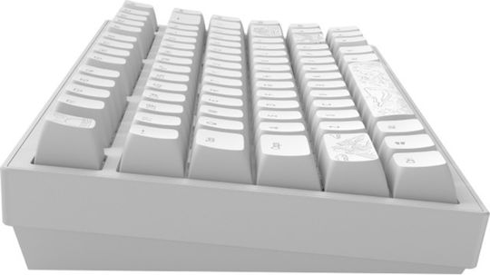 Dark Project Terra Nostra Gaming Mechanical Keyboard 75% With RGB Lighting International English White