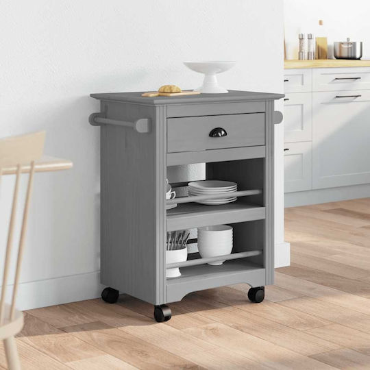 vidaXL Commercial Kitchen Food Cart H80xW67.5xD45cm
