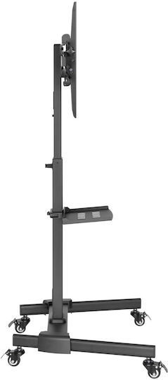 Mobile Tv Mount Stand Shelf