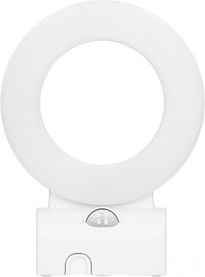 Elmark Wall-Mounted Outdoor Ceiling Light LED IP65 20W with Natural White Light
