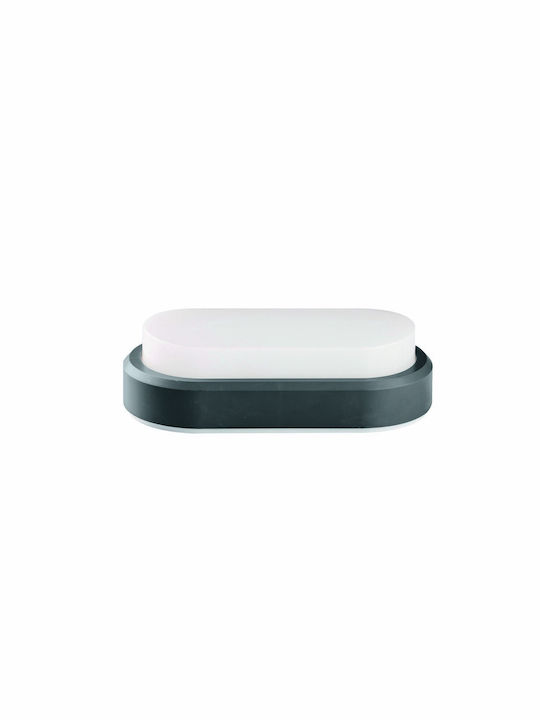 Viokef Wall-Mounted Outdoor Ceiling Light IP54 10x20εκ.