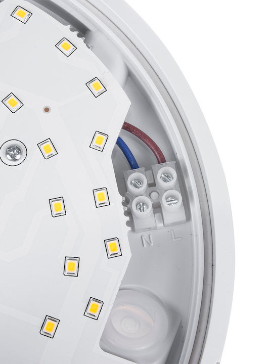 Maclean Energy Επιτοίχια Εξωτερική Πλαφονιέρα LED IP54 15W με Φυσικό Λευκό Φως