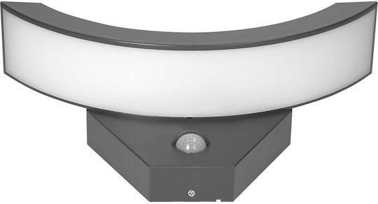 Adviti Стенно Външно Осветително Тяло LED IP54 10W с Естествено бяло Светлина 28.9x14.7x9εκ.