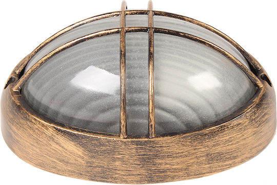 Keskor Broasca Testoasa 22x14x9 cm Keskor Broasca Testoasa 22x14x9 cm