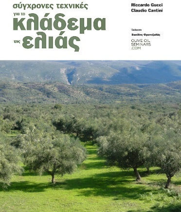 Σύγχρονες Τεχνικές για το Κλάδεμα της Ελιάς