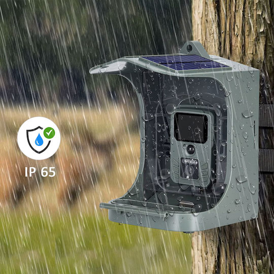 Suntek BC-303W Hunting Camera Night Vision with Motion Detection