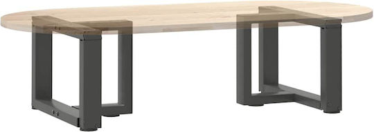 vidaXL Metallisches Möbelbein 2 Stück Für Tisch / Beistelltisch / Büro 50x25x30cm Anthrazit