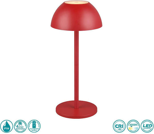 Trio Lighting R541061 Trio Lighting R541061