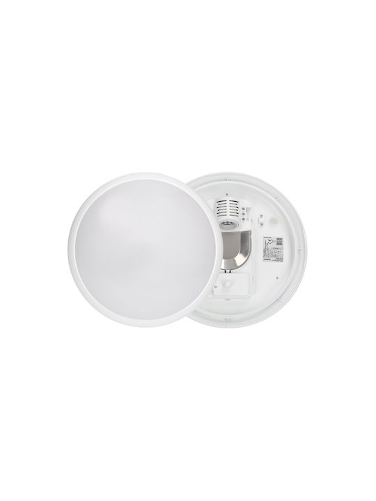 Adviti Wall-Mounted Outdoor Ceiling Light E27 IP44