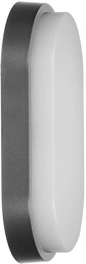 Orno Wall-Mounted Outdoor Lighting Ceiling Lamp LED IP54 15W with Natural White Light 21.22x11.92x4.45cm