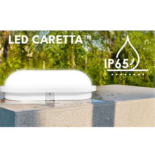 Elvhx Επιτοίχια Χελώνα Εξωτερική LED IP65 16W με Ψυχρό Λευκό Φως