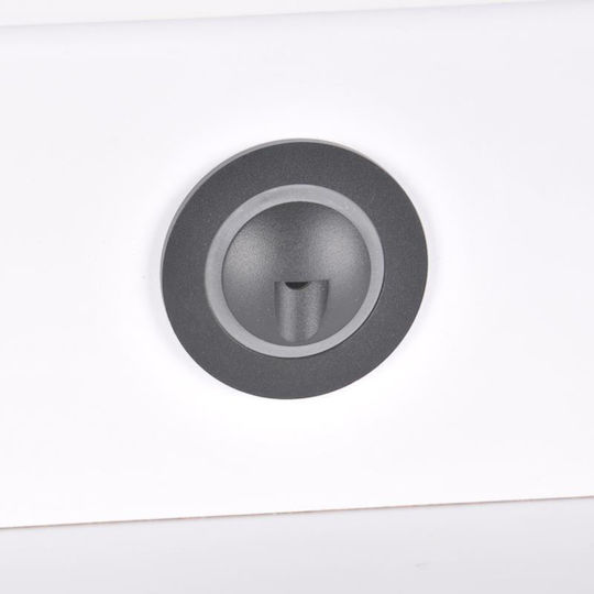 Polux Wandmontierte Außenleuchte LED IP44 3W