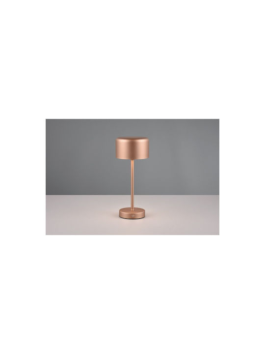 Trio Lighting Metal Table Lamp LED with Brown Shade and Base