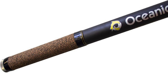 Oceanic Pegasus Καλάμι Ψαρέματος για Heavy Casting / Surf Casting 4.20m 100-200gr