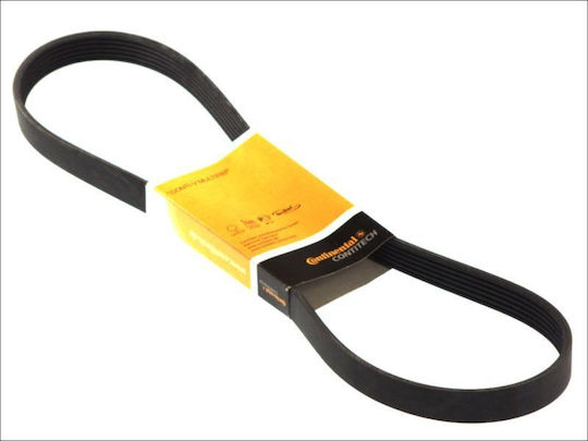 Transmission Belt Ford Fiesta V Jh Jd Contitech 6pk1042elast