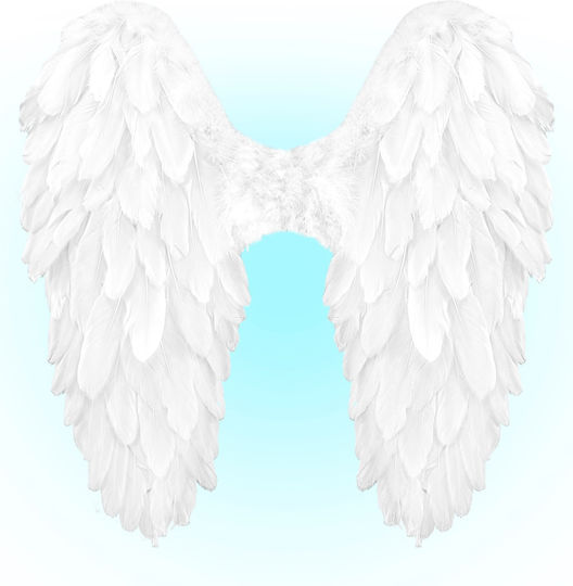 Αξεσουαρ Φτερα Featherlook Λευκα 50x50 Cm