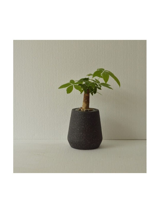 Harmony Pot Ceramic Black 36.5x36.5x47cm.