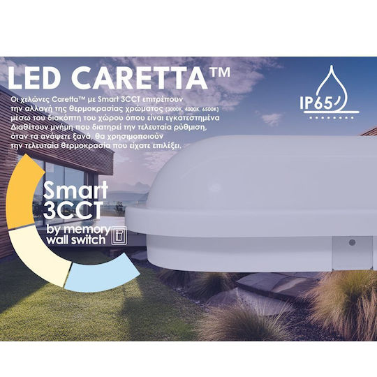 Elvhx Wall-Mounted Bulkhead Outdoor LED 20W with Adjustable White Light