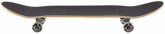DGK Vacation Complete Shortboard 7.5" Multicolour