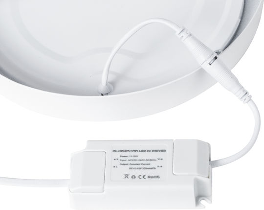 GloboStar Rotund În aer liber Panou LED Putere 20W cu Alb Natural Lumini 22.2x22.2cm.