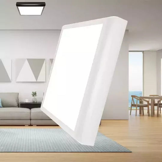 Braytron LED Panel 20W