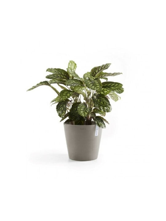 Ecopots Γλάστρα Πλαστική Taupe 60x60x56εκ.