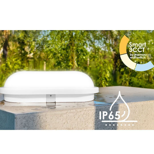 Elvhx Επιτοίχια Χελώνα Εξωτερική LED 15W με Ρυθμιζόμενο Λευκό Φως