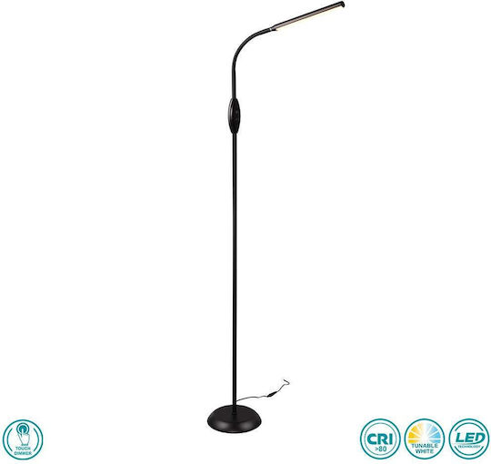 Trio Lighting R476411 Trio Lighting R476411