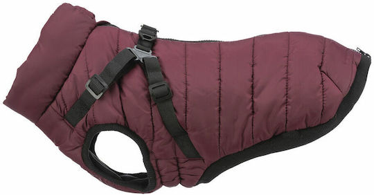 Red Dog Coat with 40cm Back Length
