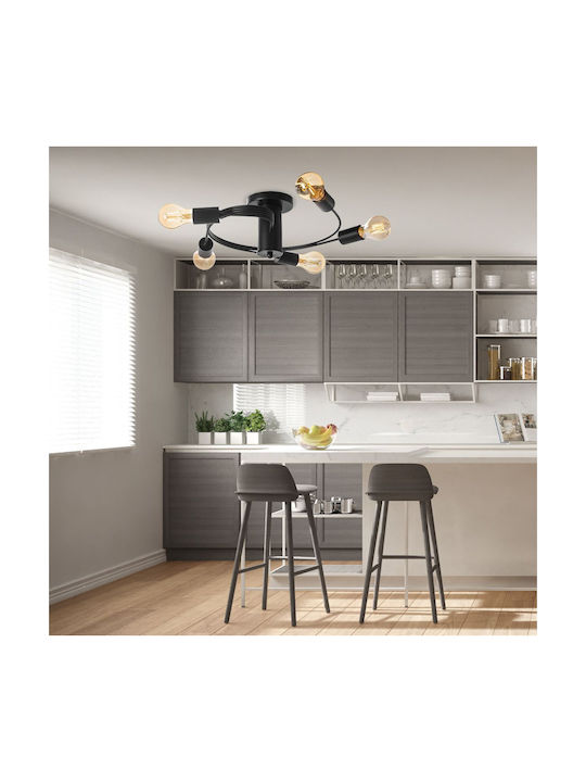Toolight Ceiling Mount Light