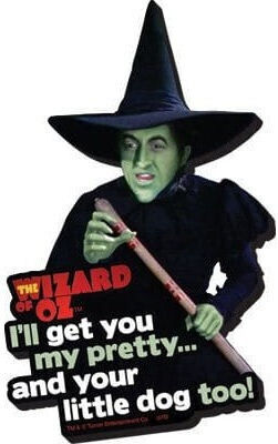 Wizard Oz Funky Chunky Magnet I'll Get You