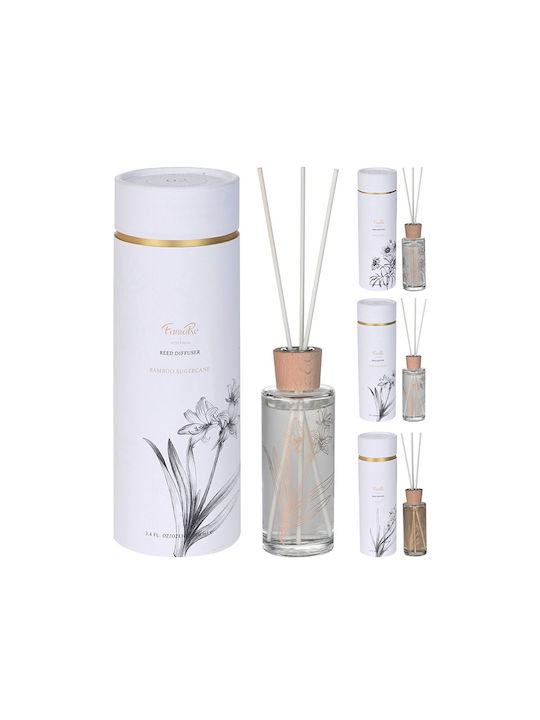 Set cadou cu bețișoare parfumate pentru cameră Zaros 100ml 3 arome He182