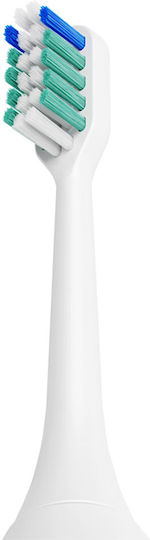 Beautifly White Smile Ersatzköpfe für 2 Stück
