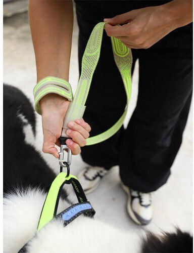 Zee Dog Dog Leash/Lead Strap in Green color
