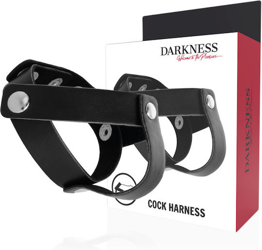 Darkness Leather Penis & Testicles Strap H-Piece Divide Black