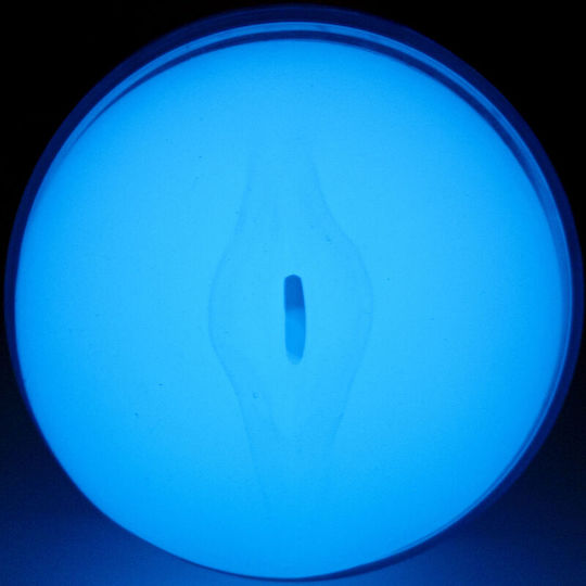 Kiiroo Masturbator 1Stück