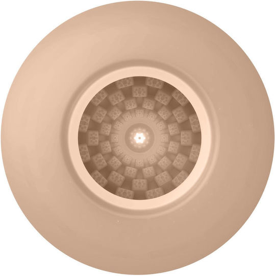 Pretty Love Egg Pleasure Egg Masturbator BM-00900T90-1 1Stück