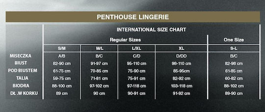 Penthouse Suspender Dress with Thong Black