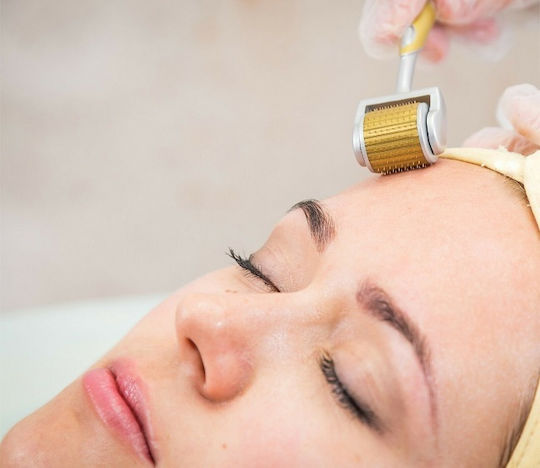 ZGTS Titanium Αnti-ageing Derma Roller 192 needles 1.5mm
