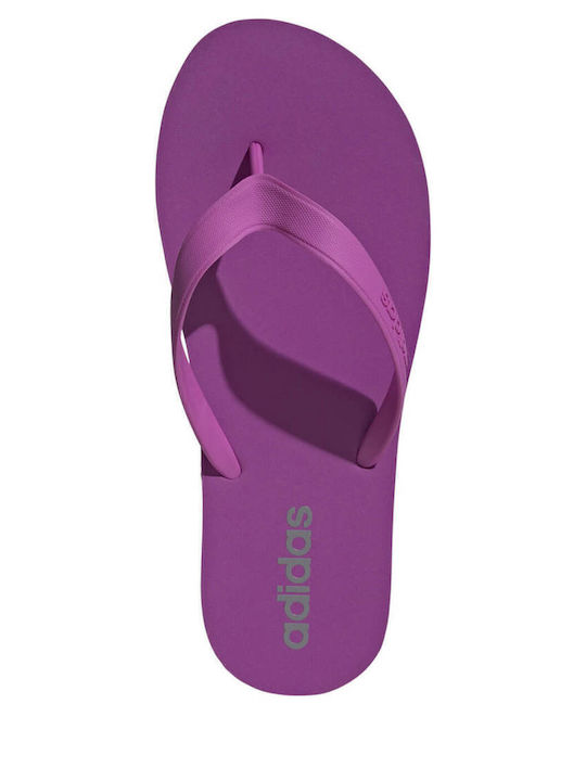 Keitaki Alpha Ανδρικά Flip Flops Μωβ