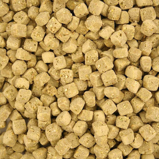 Harrison's Pepper Lifetime Coarse Year-round Granules Medium Large Birds Pepper 2.27