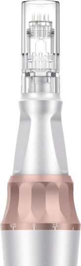 Beautifly Συσκευή Microneedling για Καθαρισμό