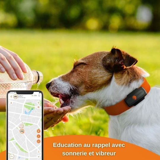 Weenect GPS Електрическа Огърлица за Куче